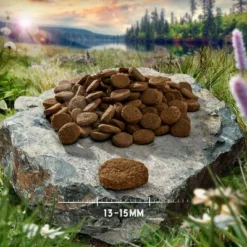 Purizon Single Meat Probierpaket 3 X 1 Kg -ZOOPLUS Verkäufe purizon hund adult singlemeat duck 13 15 mm 6