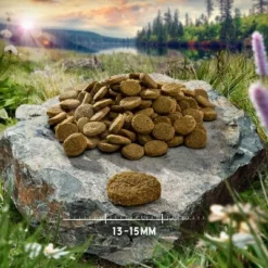 Purizon Single Meat Probierpaket 3 X 1 Kg -ZOOPLUS Verkäufe purizon hund adult singlemeat salmon 13 15 mm 8