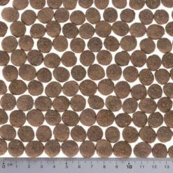 5 € Rabatt! 12 Kg Purizon -ZOOPLUS Verkäufe purizon hund kroketten singlemeat lamm3 0