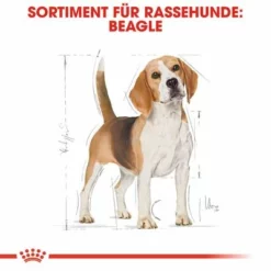 Royal Canin Beagle Adult -ZOOPLUS Verkäufe rc bhn beagle cv eretailkit 1 de de 6