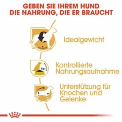 Royal Canin Beagle Adult -ZOOPLUS Verkäufe rc bhn beagle cv eretailkit 3 de de 5