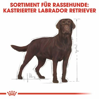 Royal Canin Labrador Retriever Adult Sterilised 8 Royal Canin Labrador Retriever Adult Sterilised – Bild 6