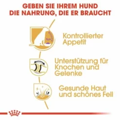 Royal Canin Labrador Retriever Adult Sterilised 13 Royal Canin Labrador Retriever Adult Sterilised -ZOOPLUS Verkäufe rc bhn labradorsterilised cv eretailkit 3 de de 4