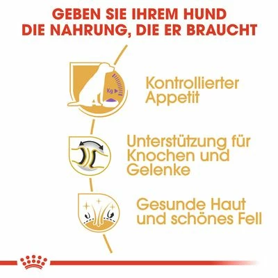 Royal Canin Labrador Retriever Adult Sterilised 7 Royal Canin Labrador Retriever Adult Sterilised – Bild 5