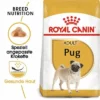 Royal Canin Pug Adult -ZOOPLUS Verkäufe rc bhn pug mv eretailkit de de 8