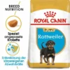 Royal Canin Rottweiler Puppy 2 Royal Canin Rottweiler Puppy -ZOOPLUS Verkäufe rc bhn puppyrottweiler mv eretailkit de de 3