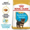 Royal Canin Yorkshire Terrier Puppy -ZOOPLUS Verkäufe rc bhn puppyyorkshire mv eretailkit de de 1