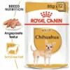 Nassfutter Als Ergänzung Zu Royal Canin Chihuahua Adult