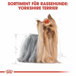 Nassfutter Als Ergänzung Zu Royal Canin Yorkshire Terrier Adult -ZOOPLUS Verkäufe rc bhn wet yorkshire cv eretailkit 1 de de 4