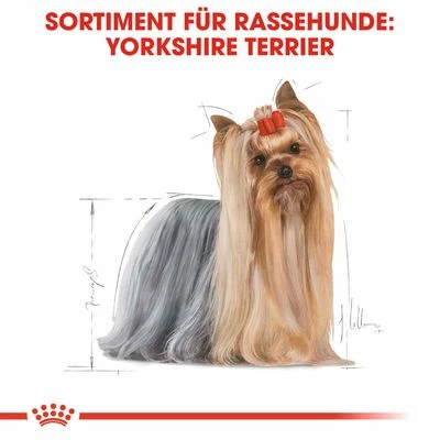 Nassfutter Als Ergänzung Zu Royal Canin Yorkshire Terrier Adult – Bild 3