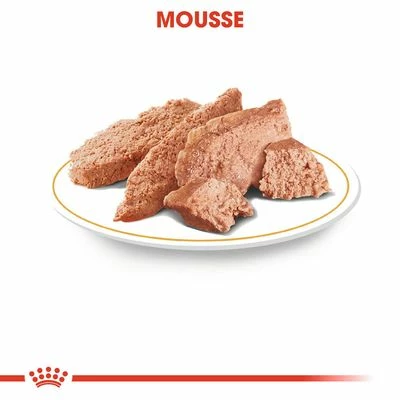 Royal Canin Yorkshire Terrier Adult Mousse 5 Royal Canin Yorkshire Terrier Adult Mousse – Bild 3