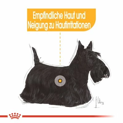 Nassfutter Als Ergänzung Zu Royal Canin Dermacomfort – Bild 3