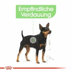 Nassfutter Als Ergänzung Zu Royal Canin Digestive Care -ZOOPLUS Verkäufe rc ccn wet digestive cv eretailkit 1 de de 0