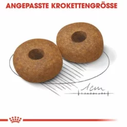 Royal Canin Medium Ageing 10+ -ZOOPLUS Verkäufe rc shn ageingmedium10 cv eretailkit 3 de de 6