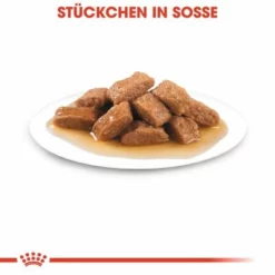 Royal Canin Medium Ageing 10+ In Soße -ZOOPLUS Verkäufe rc shn wet mediumageing cv eretailkit 3 de de 4