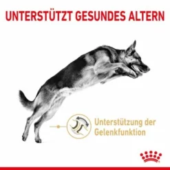 Royal Canin German Shepherd Adult 5+ -ZOOPLUS Verkäufe rc spt dry germshep5 cv 1 de de 4