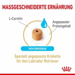 Royal Canin Labrador Retriever Adult 5+ -ZOOPLUS Verkäufe rc spt dry lab5 cv 2 de de 0