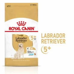 Royal Canin Labrador Retriever Adult 5+