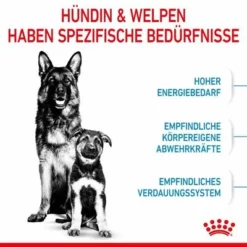 Royal Canin Maxi Starter Mother & Babydog 17 Royal Canin Maxi Starter Mother & Babydog -ZOOPLUS Verkäufe rc spt dry maxistart cv 2 de de 7
