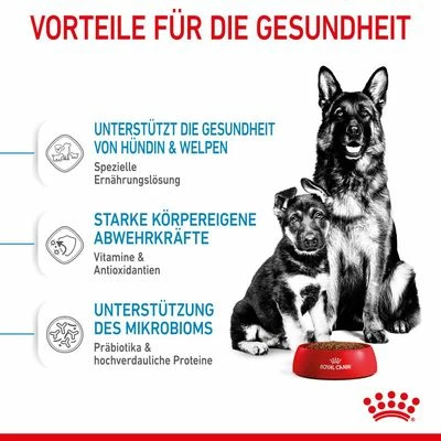 Royal Canin Maxi Starter Mother & Babydog 8 Royal Canin Maxi Starter Mother & Babydog – Bild 6