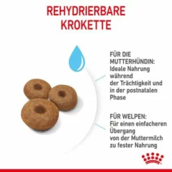 Royal Canin Maxi Starter Mother & Babydog 19 Royal Canin Maxi Starter Mother & Babydog -ZOOPLUS Verkäufe rc spt dry maxistart cv 4 de de 7