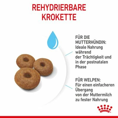 Royal Canin Maxi Starter Mother & Babydog 9 Royal Canin Maxi Starter Mother & Babydog – Bild 7