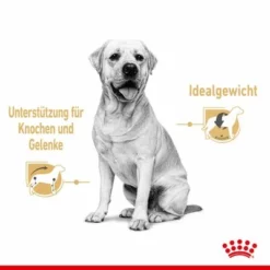 Royal Canin Labrador Retriever Adult In Soße -ZOOPLUS Verkäufe rc spt wet labad cv 1 de de 8