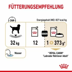 Royal Canin Labrador Retriever Adult In Soße -ZOOPLUS Verkäufe rc spt wet labad cv 5 de de 8