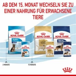 Royal Canin Maxi Puppy In Soße -ZOOPLUS Verkäufe rc spt wet maxipuppy cv 8 de de 1