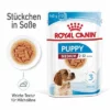 Royal Canin Medium Puppy In Soße 2 Royal Canin Medium Puppy In Soße -ZOOPLUS Verkäufe rc spt wet mediumpuppy mv 1 de de 4