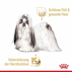 Royal Canin Shih Tzu Adult Mousse -ZOOPLUS Verkäufe rc spt wet shihtzuad cv 1 de de 5