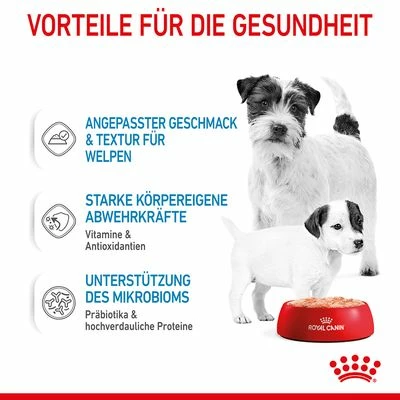Royal Canin Starter Mother & Babydog Ultra Soft Mousse 7 Royal Canin Starter Mother & Babydog Ultra Soft Mousse – Bild 5