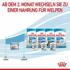 Royal Canin Starter Mother & Babydog Ultra Soft Mousse 21 Royal Canin Starter Mother & Babydog Ultra Soft Mousse -ZOOPLUS Verkäufe rc spt wet startermousse can cv 8 de de 0