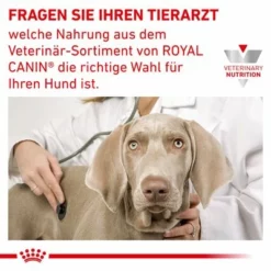 Royal Canin Veterinary Canine Anallergenic Small Dog -ZOOPLUS Verkäufe rc vet dry doganasd cv eretailkit 6 de de 3