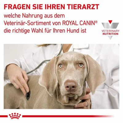 Royal Canin Veterinary Canine Renal Special 10 Royal Canin Veterinary Canine Renal Special – Bild 8