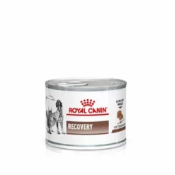 Royal Canin Veterinary Canine Recovery Mousse