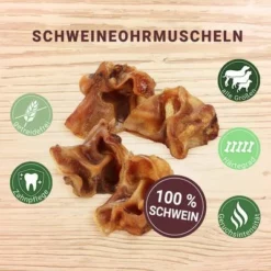 Phil & Sons Schweineohrmuschelnneu 10 Phil & Sons Schweineohrmuschelnneu -ZOOPLUS Verkäufe schweineohrmuscheln 9