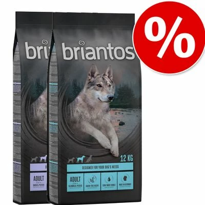 Briantos Sparpaket (2 X Großgebinde) 3 Briantos Sparpaket (2 X Großgebinde)