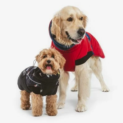 Nomad Tales Bloom Hundemantel Midnightneu 11 Nomad Tales Bloom Hundemantel Midnightneu – Bild 9