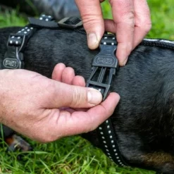 TIAKI Sicherheitsgeschirr Reflectneu -ZOOPLUS Verkäufe tiaki safety harness reflect mit hunden fg 3602 7