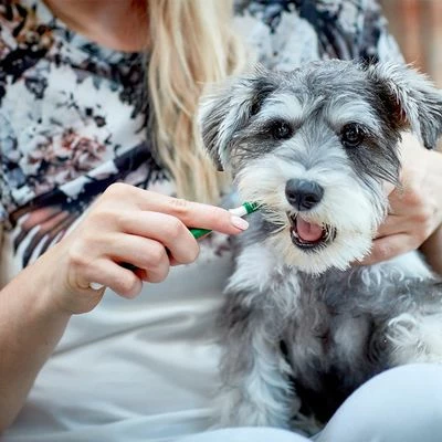 Vet's Best® Zahnpflege Set Für Hunde 8 Vet's Best® Zahnpflege Set Für Hunde – Bild 6