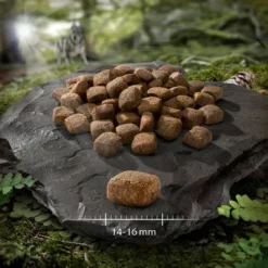 2 X 12 Kg Wolf Of Wilderness "Soft & Strong" - Getreidefrei -ZOOPLUS Verkäufe wow soft strong ente 14 16 mm 2