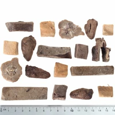 Wolf Of Wilderness - Premium Snack Adventskalender (getreidefrei) 5 Wolf Of Wilderness - Premium Snack Adventskalender (getreidefrei) – Bild 3